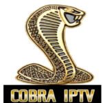 تجديد سيرفر كوبرا COBRA سنه